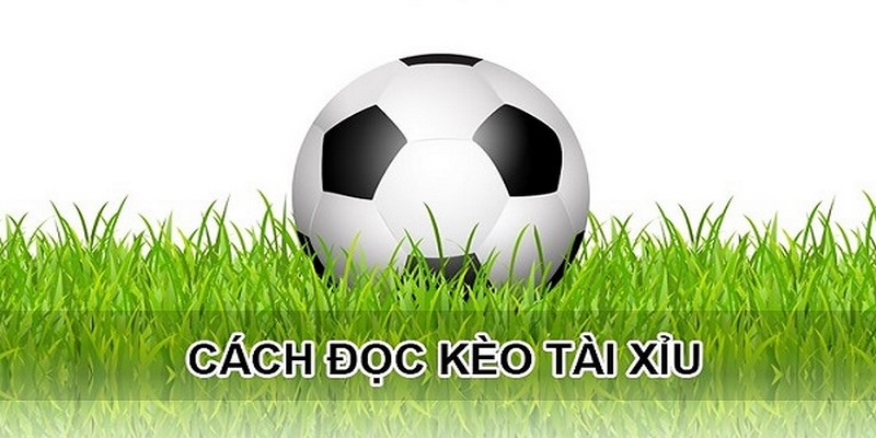 Hướng dẫn cách tính tài xỉu bóng đá và cách bắt kèo bất bại 3 Kèo tài xỉu 0.5 trái cũng được nhiều người chơi lựa chọn