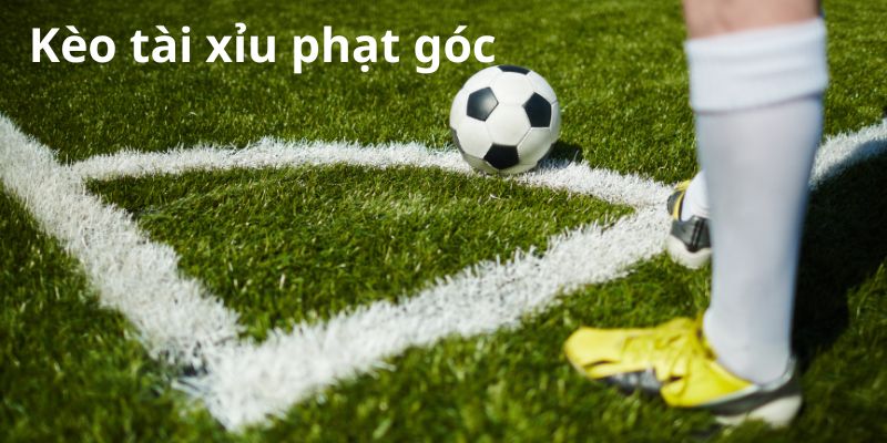 Kèo tài xỉu phạt góc là gì? Những thông tin hữu ích bạn cần biết 4 Phong cách thi đấu của hai đội cũng ảnh hưởng đến kèo tài xỉu phạt góc